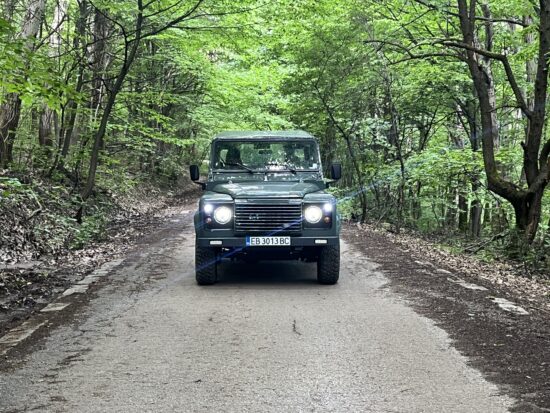 Front view of The Evergreen, a Keswick Green Land Rover Defender 90 Td5 with a black roof, on a forest road